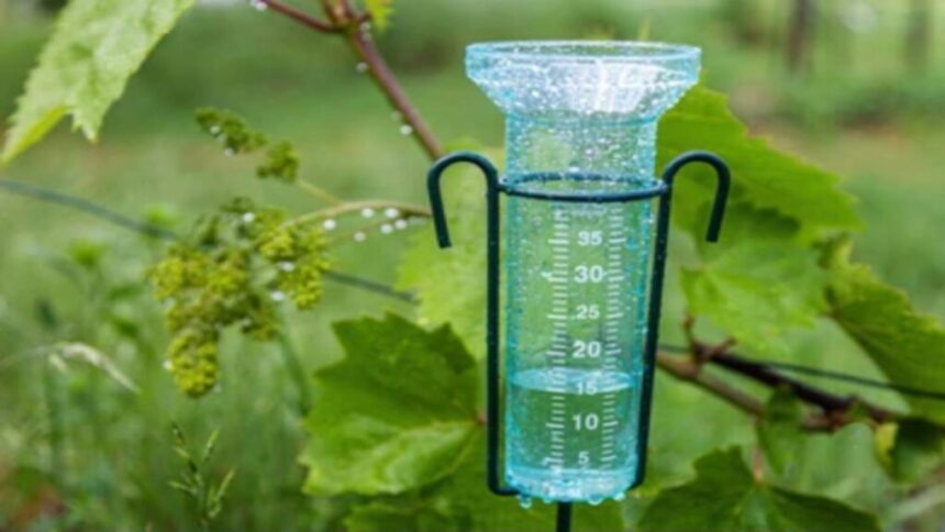 Dieron a conocer los milímetros de agua caída por la lluvia en Chamical