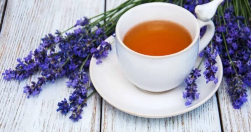 Té de lavanda y limón: para qué sirve y cómo aprovechar sus beneficios