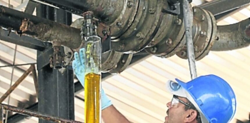 Crece la demanda de los principales aceites en Estados Unidos para producción de biodiesel Crece la demanda de los principales aceites en Estados Unidos para producción de biodiesel