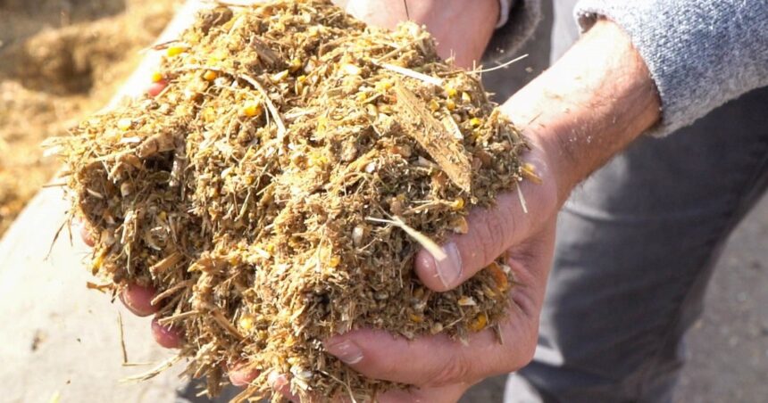 El lado B del carbono: en agricultura suma productividad y cuidado ambiental El lado B del carbono: en agricultura suma productividad y cuidado ambiental