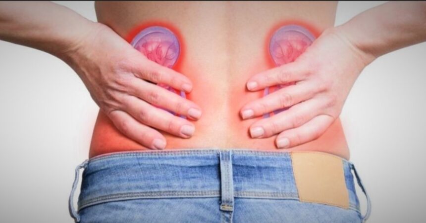 Cuáles son los primeros síntomas de una enfermedad renal Cuáles son los primeros síntomas de una enfermedad renal