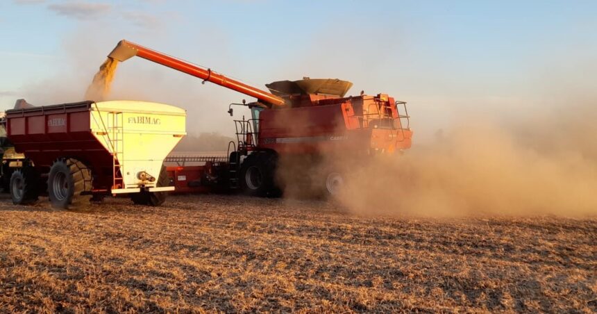 Los precios de los granos finalizaron la jornada con alzas en Chicago