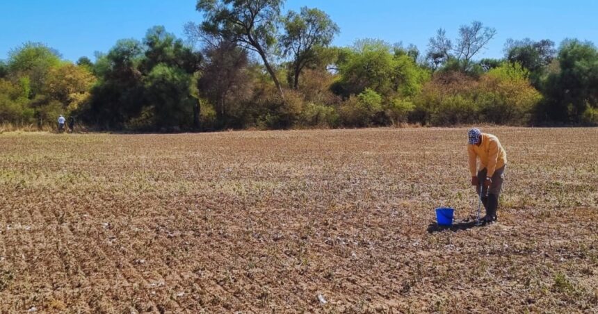 Un estudio sobre la salud de los suelos  pone en alerta a los productores