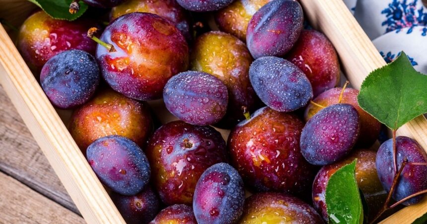 Cuál es fruta es rica en vitamina B12 Cuál es fruta es rica en vitamina B12