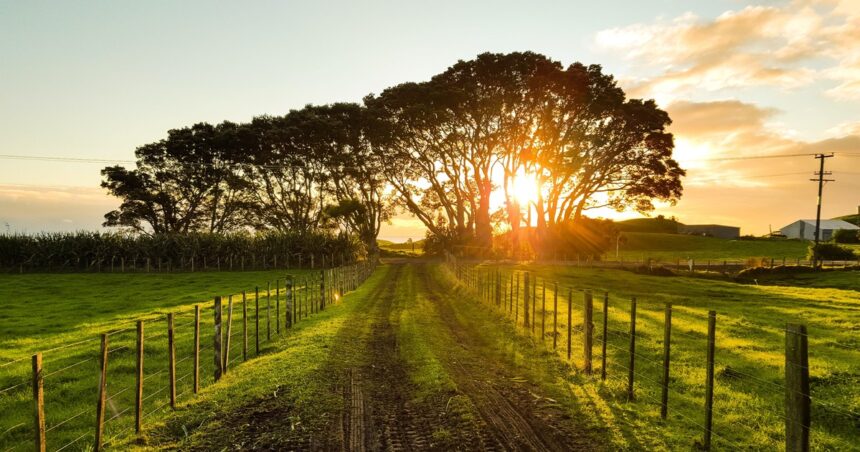 Los productores argentinos invierten cada vez más en tierras en otros países