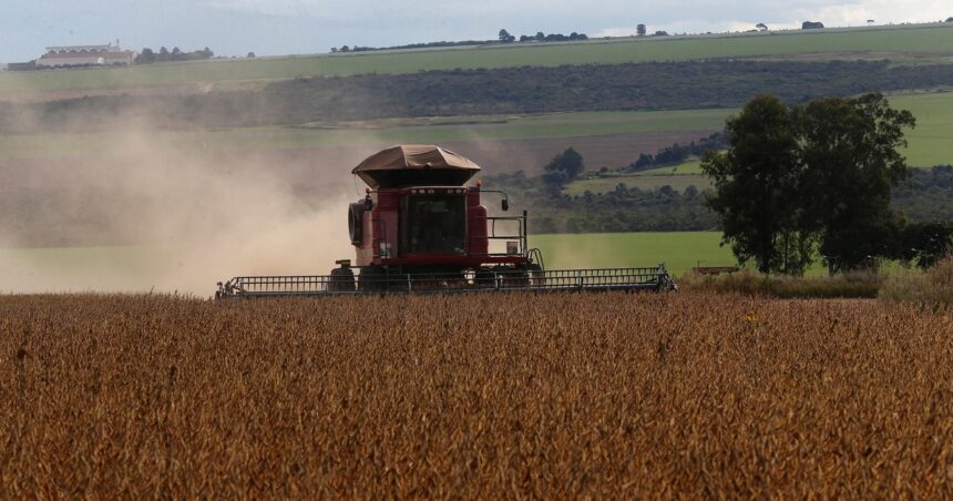 Por el Niño, Brasil prevé cosechar un 2,4 % menos Por el Niño, Brasil prevé cosechar un 2,4 % menos
