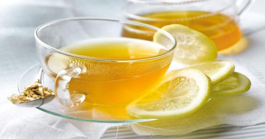 Cómo consumir el té de hojas de limón para aprovechar sus contundentes beneficios Cómo consumir el té de hojas de limón para aprovechar sus contundentes beneficios