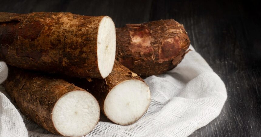 Cuál es el superalimento que regula el azúcar y se puede consumir en las Fiestas Cuál es el superalimento que regula el azúcar y se puede consumir en las Fiestas