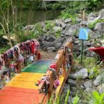 Qué es el puente arcoíris, el sitio donde las personas dejan las pertenencias de sus mascotas