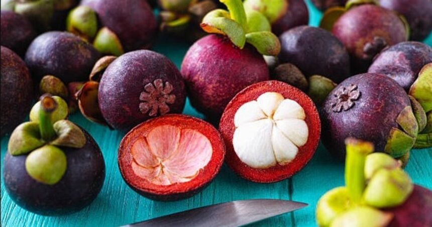 Cómo sembrar una semilla de mangostino Cómo sembrar una semilla de mangostino