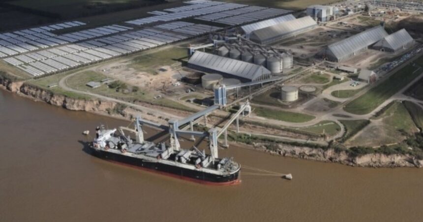 Los embarques de trigo en diciembre caen al nivel más bajo en ocho años