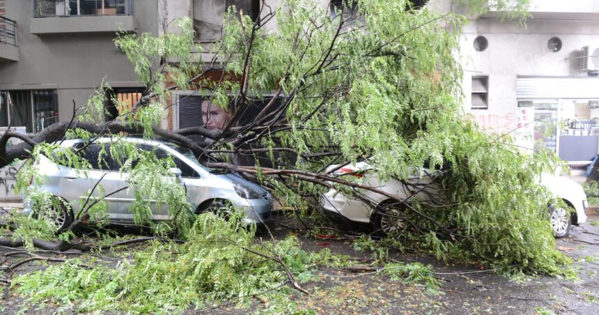 Autos aplastados por el temporal: qué daños cubren los seguros y cómo hacer el reclamo Autos aplastados por el temporal: qué daños cubren los seguros y cómo hacer el reclamo