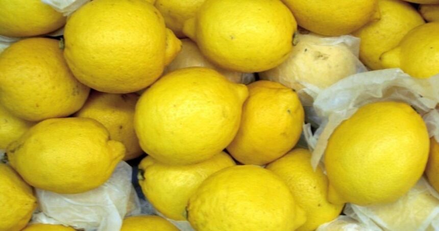 Productores de limón rechazaron la suba de las retenciones Productores de limón rechazaron la suba de las retenciones