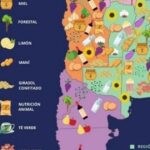 Retenciones: la contradicción del modelo