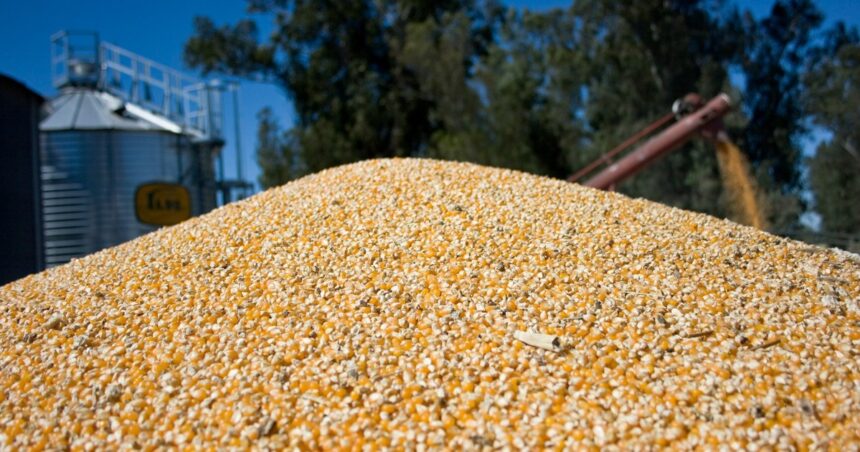 Prohibido prohibir exportaciones: Milei tendría US$ 15 mil millones de superávit comercial Prohibido prohibir exportaciones: Milei tendría US$ 15 mil millones de superávit comercial