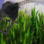 Biocombustibles: cómo finaliza  el sector este año y lo que puede pasar en 2024