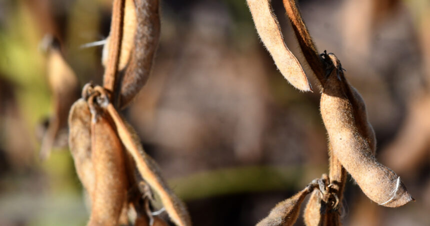 El Gobierno envió el proyecto de ley al Congreso que sube las retenciones al campo