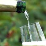 Populares y premium: 10 sidras para tomar más allá de las fiestas
