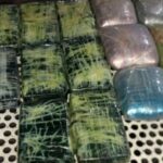 Gendarmeria incautó 12 kg de cocaína que venían de Orán, Salta, hacia La Rioja