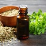 ¿Cómo se prepara el orégano para los dolores musculares?