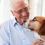 ¿Cómo saber si un perro está viejo? Cinco señales que lo revelan