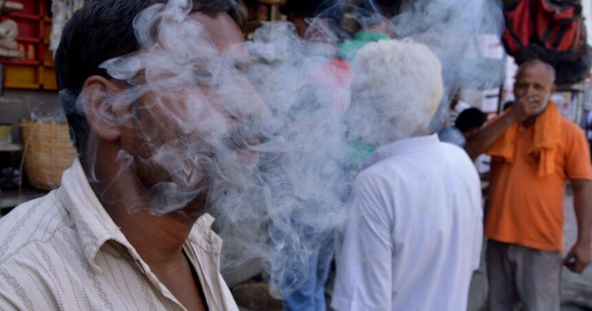 Los daños en el cerebro que causa el consumo de cigarrillos Los daños en el cerebro que causa el consumo de cigarrillos