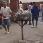 Crimen de Tomás Tello: hay tres nuevos detenidos y la causa ya suma 13 implicados