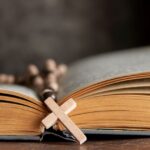 Cuántas especies de animales tuvo que llevar Noé, según la Biblia