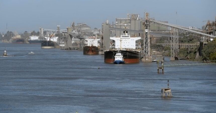 Exportaciones: en qué productos lidera la Argentina y hacia qué países los vende Exportaciones: en qué productos lidera la Argentina y hacia qué países los vende