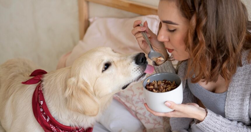 Qué pasa si le doy arroz a mi perro Qué pasa si le doy arroz a mi perro