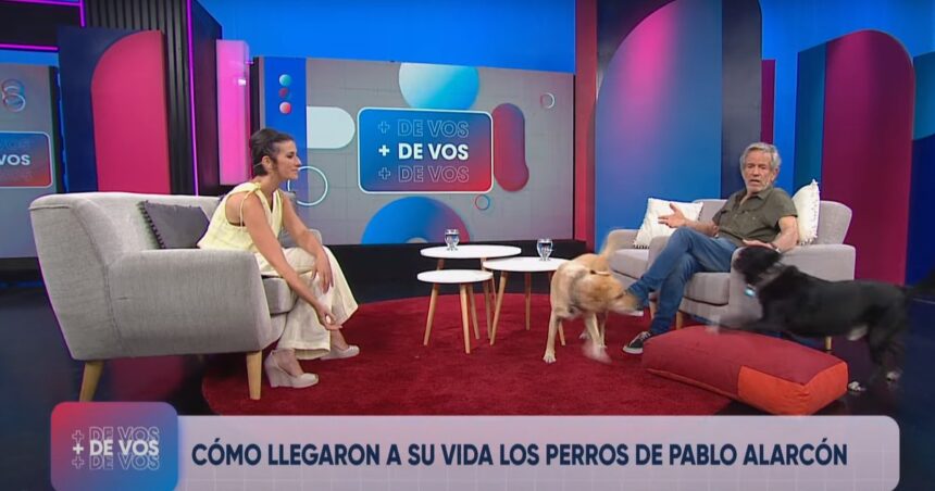La TV Pública ya tiene su programa de perros: “Ojalá le guste al Presidente”