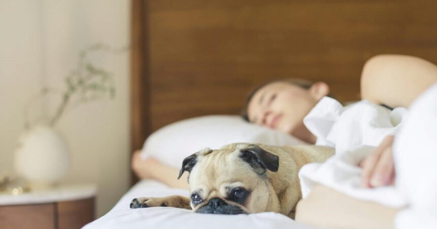 En qué posición dejar la cama para dormir bien y lograr un sueño reparador en las noches