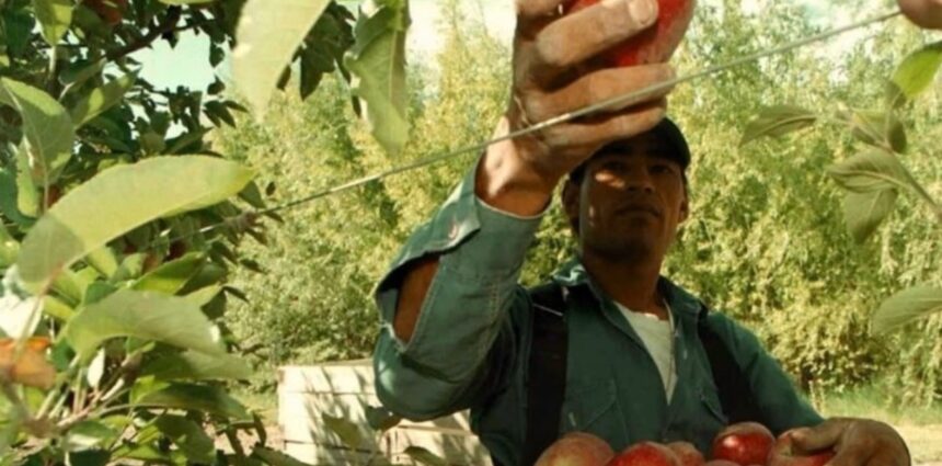 Al final el Gobierno dejaría en cero las retenciones a economías regionales Al final el Gobierno dejaría en cero las retenciones a economías regionales