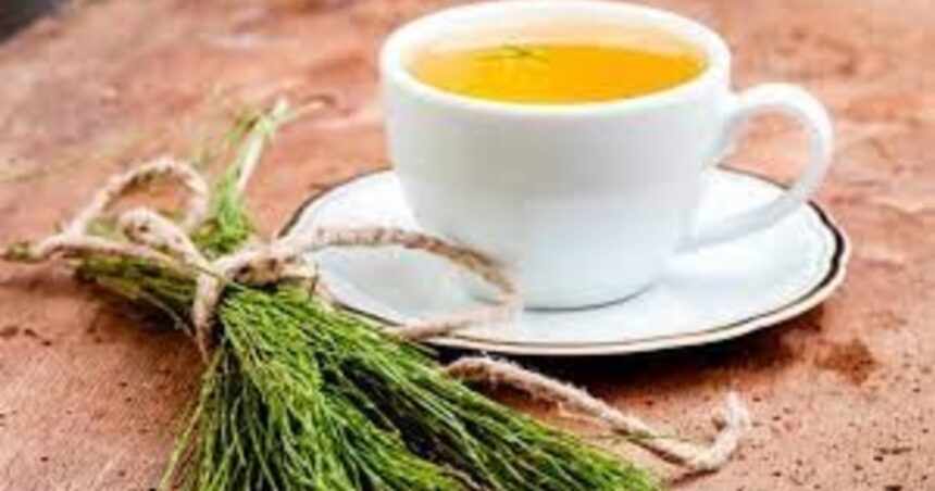 Cuál es la mejor hora para tomar infusión de cola de caballo y para qué sirve Cuál es la mejor hora para tomar infusión de cola de caballo y para qué sirve