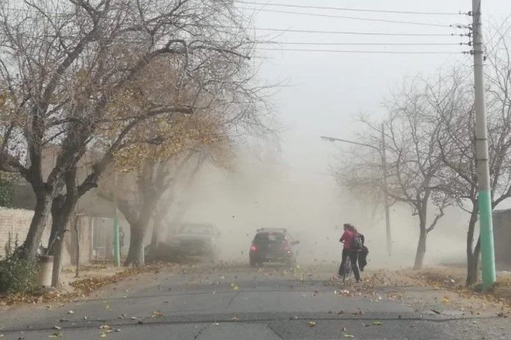 Alerta amarilla por fuertes vientos para el interior de La Rioja