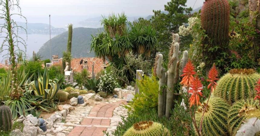 5 plantas de exterior que resisten el calor 5 plantas de exterior que resisten el calor