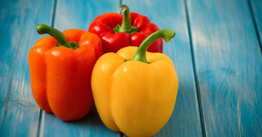 Cómo aprovechar el pimiento para aumentar la saciedad y disminuir los dolores Cómo aprovechar el pimiento para aumentar la saciedad y disminuir los dolores