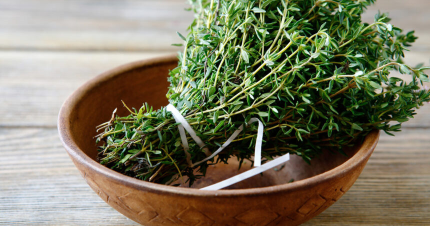 Cuál es la conocida hierba aromática que regula la presión y el colesterol Cuál es la conocida hierba aromática que regula la presión y el colesterol