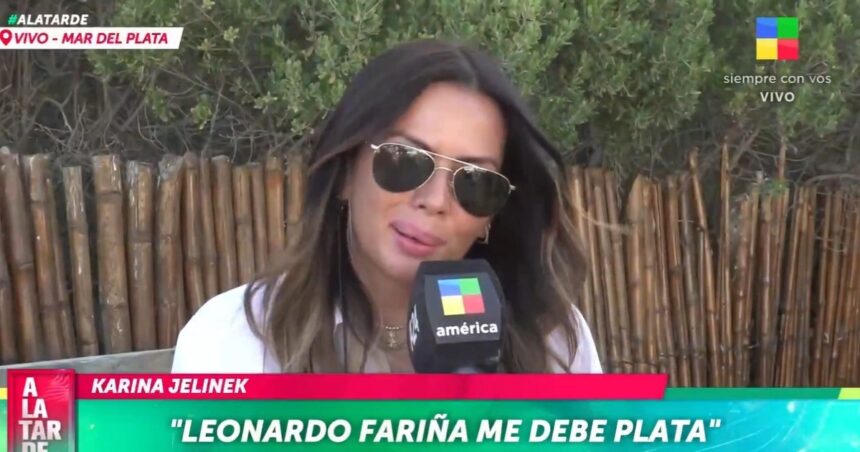 Karina Jelinek: “Leonardo Fariña me debe más de 100.000 dólares” Karina Jelinek: “Leonardo Fariña me debe más de 100.000 dólares”