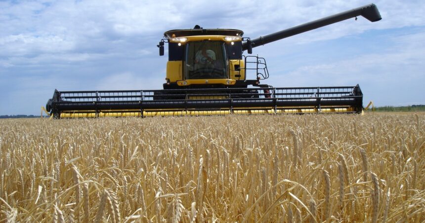 “Importante paso”: Argentina exportará trigo a China por primera vez “Importante paso”: Argentina exportará trigo a China por primera vez