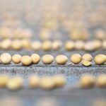 El Gobierno convocará a los productores para acordar los alcances de la adhesión a la UPOV 91