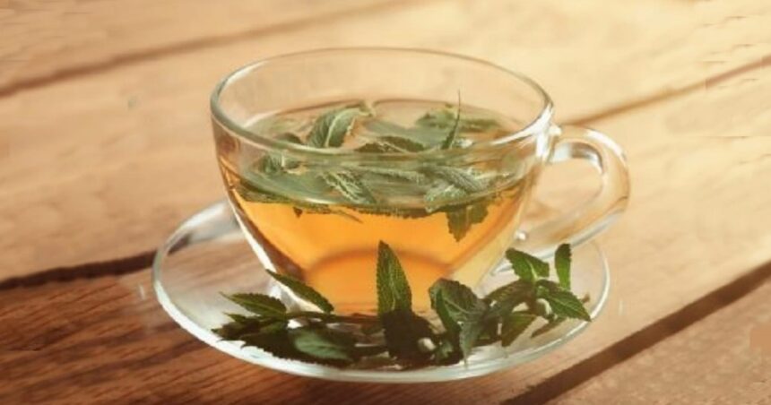 Cuál es la mejor manera de tomar té de salvia y para qué sirve Cuál es la mejor manera de tomar té de salvia y para qué sirve