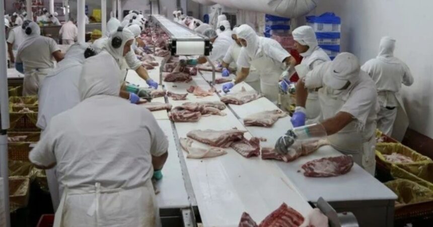 En 2023 se exportó mucha más carne pero ingresaron menos divisas En 2023 se exportó mucha más carne pero ingresaron menos divisas
