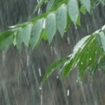 Con núcleos de tormenta y lluvia llegó el alivio a parte del interior de la provincia