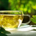 A qué hora conviene tomar el Ginkgo biloba y cuáles son sus beneficios