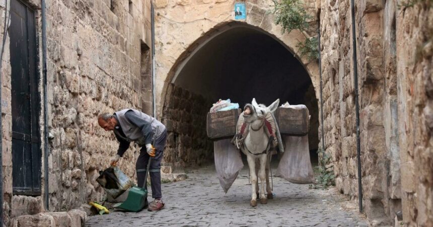 Burros especiales: escuchan a Beethoven, son empleados públicos y se jubilan a los 15 años Burros especiales: escuchan a Beethoven, son empleados públicos y se jubilan a los 15 años