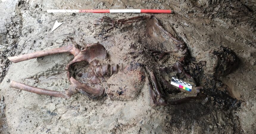 Dos mil años después se descubrió como fue el terrible final del último fugitivo de Herculano Dos mil años después se descubrió como fue el terrible final del último fugitivo de Herculano