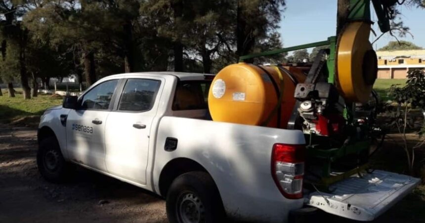 Controlan un foco de langostas en Santiago del Estero intensifican la vigilancia