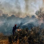 Calentamiento global: por primera vez, la temperatura del planeta supera los 1,5°C en todo un año