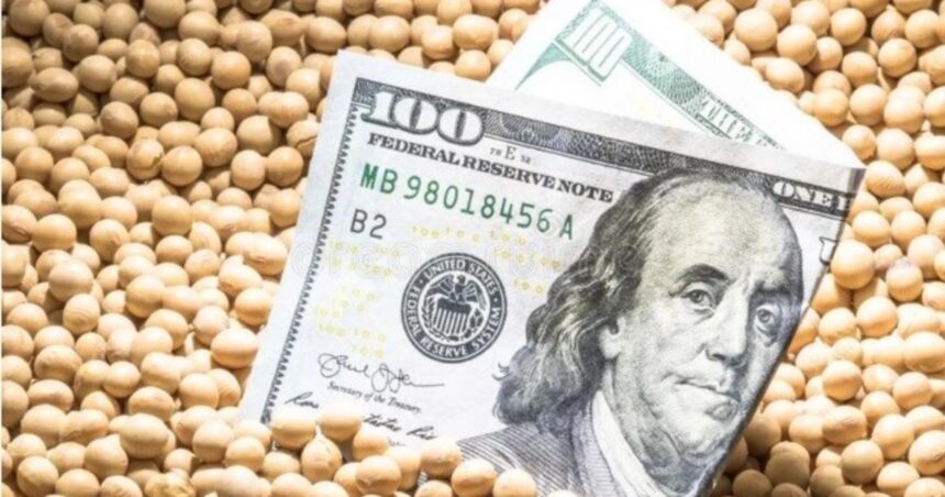 “Dólar exportador”: nueva referencia para los contratos de venta de granos a futuro